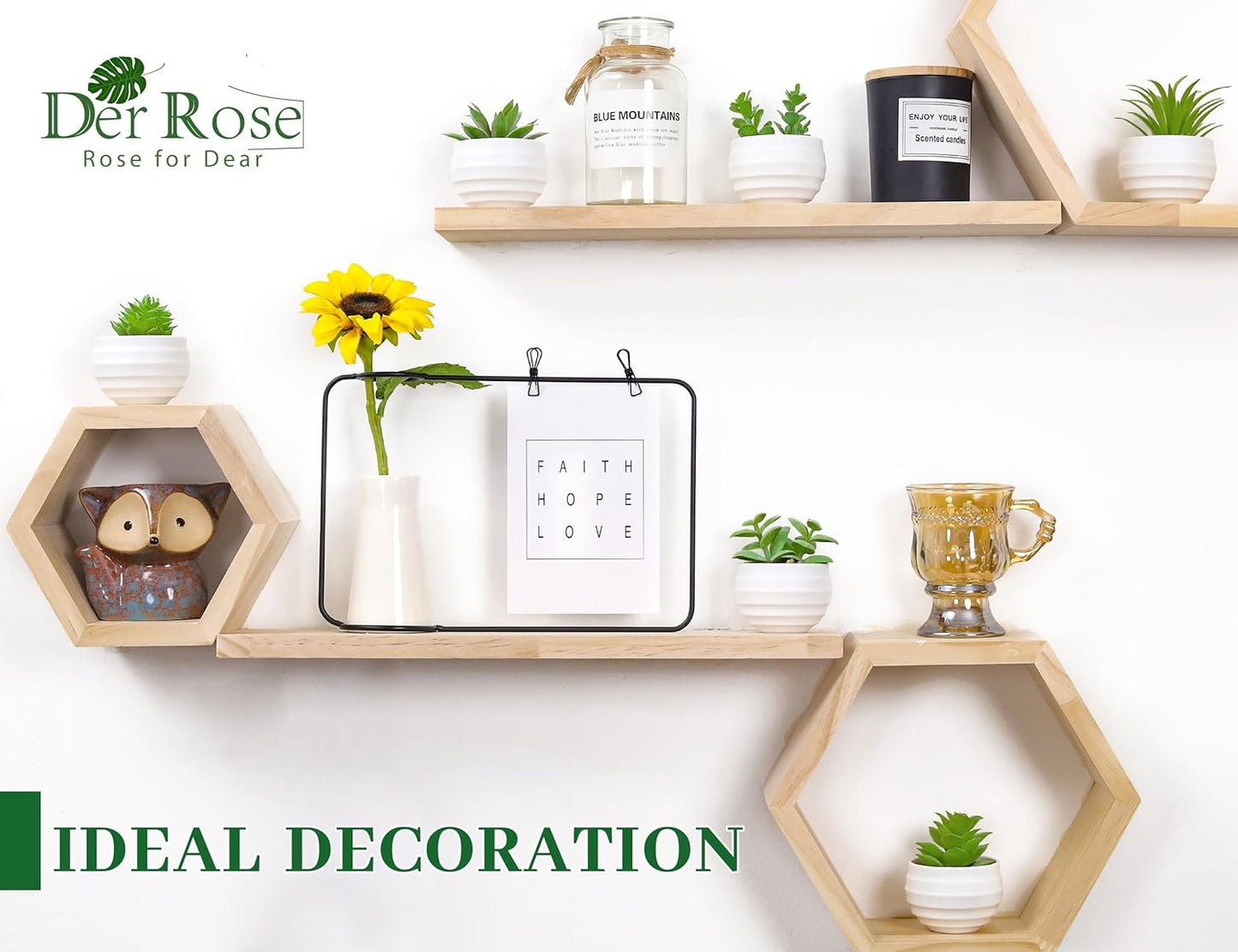 Der Rose Set of 6 Succulents Plants